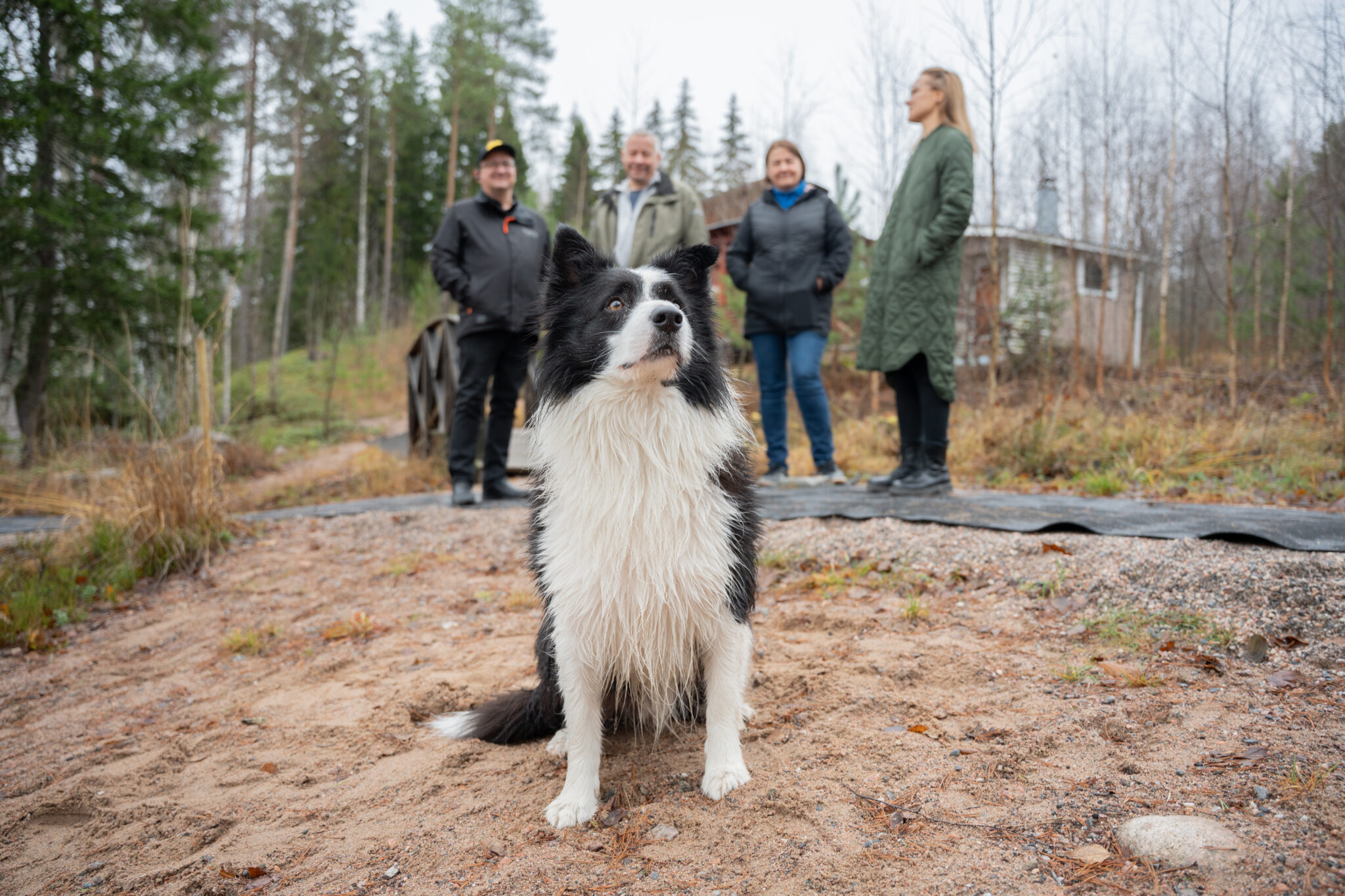 Mustavalkoisen koiran takana neljä henkilöä.